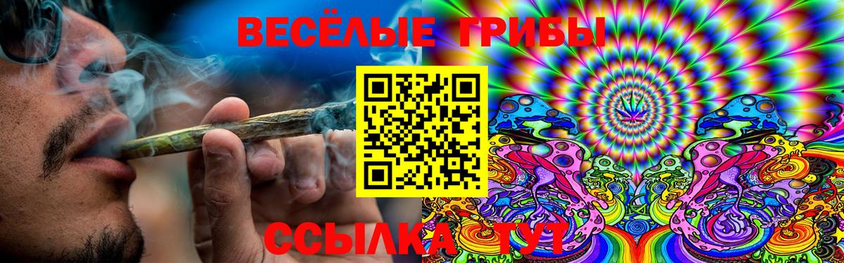 купить   Псилоцибиновые грибы Magic Shrooms  Вход с VPN  Кашира 